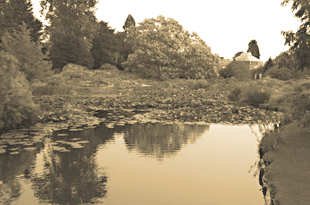 Photo by Tom Vitullo-Martin