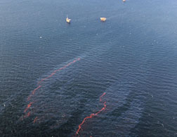 Photograph of the BP oil spill by Joe Raedle/Getty Images