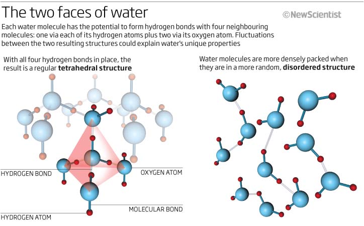 Two faces of water @ New Scientist