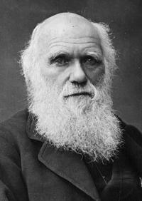Photo from American Museum of Natural History: One of the last photographs taken of Charles Darwin, circa 1878.