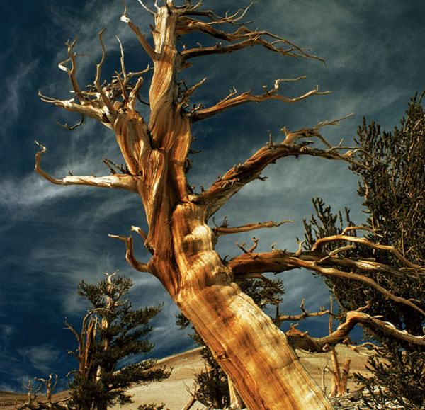 Image: Gordon Wiltsie/NGS