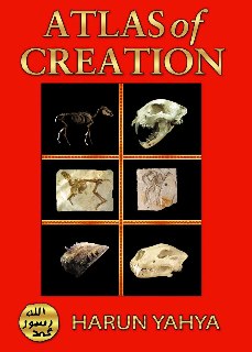 book cover: Atlas of Creation