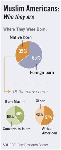 Graphic credit: Lindsay Mangum,, NPR