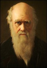 photo:  A detail of British artist John Collier's 1883 painting of Charles Darwin.  credit:  Tal Cohen / REUTERS