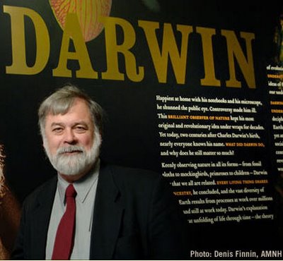 Photo credit: Denis Finnin, AMNH; of Niles Eldredge