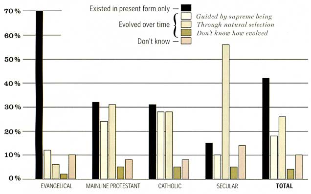 Chart: Percentages of beliefs on 